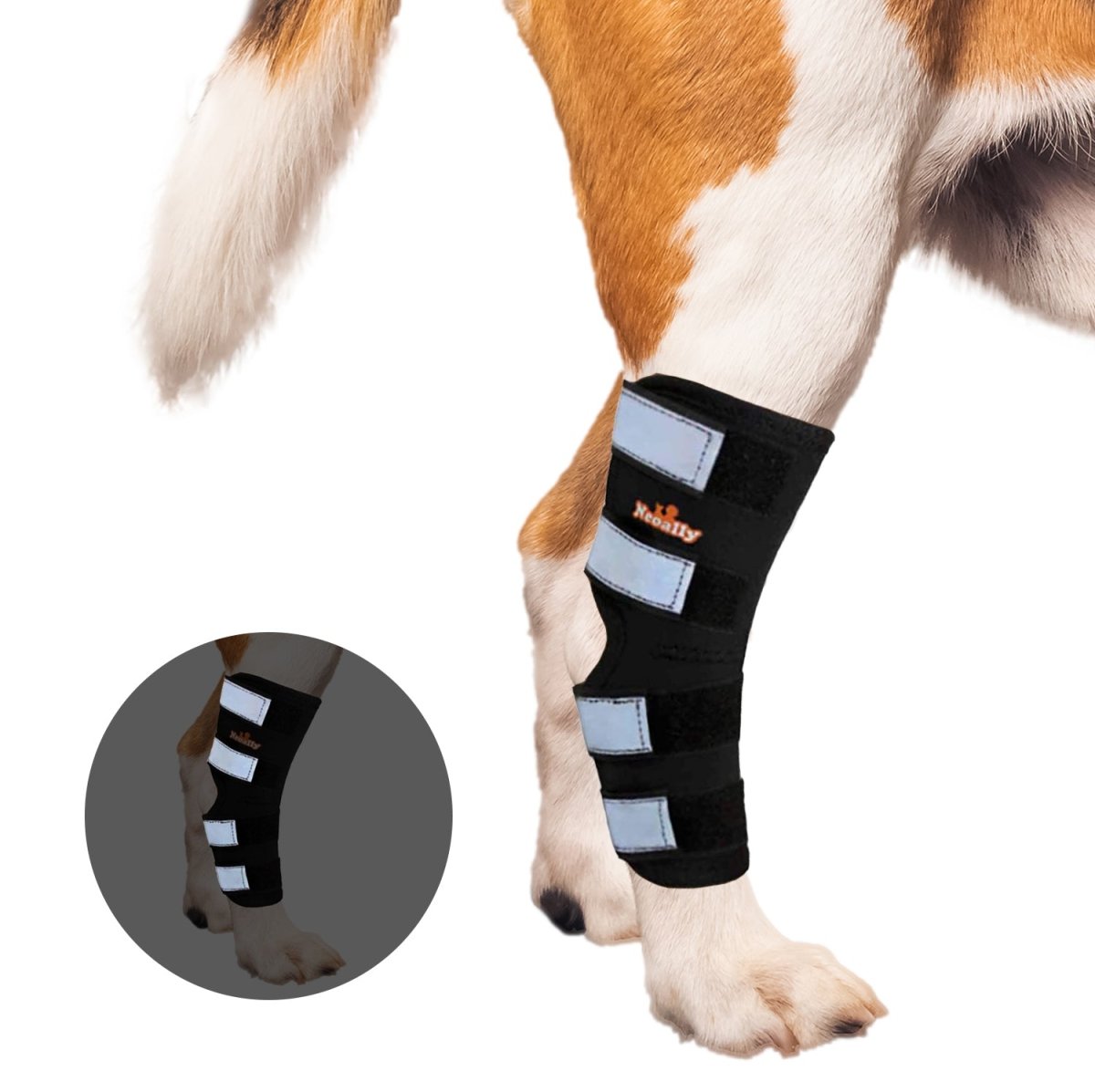 NeoAlly Dog Rear Leg Hock Brace with Safety Reflective Straps for Large Dogs [Long Version] Right Neoallypets