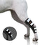 NeoAlly Dog Rear Leg Hock Brace with Safety Reflective Straps for Large Dogs [Long Version] Left Neoallypets