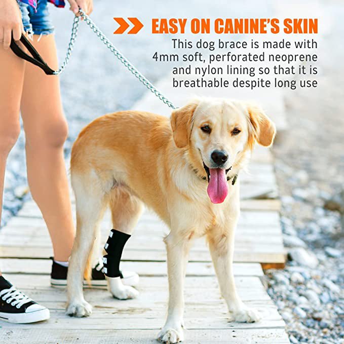 NeoAlly Dog Rear Leg Hock Brace with Safety Reflective Straps for Large Dogs [Long Version] Neoallypets