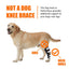 NeoAlly Dog Rear Leg Hock Brace with Safety Reflective Straps for Large Dogs [Long Version] Neoallypets