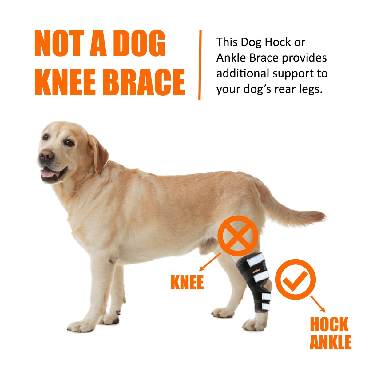 NeoAlly Dog Rear Leg Hock Brace with Safety Reflective Straps for Large Dogs [Long Version] Neoallypets