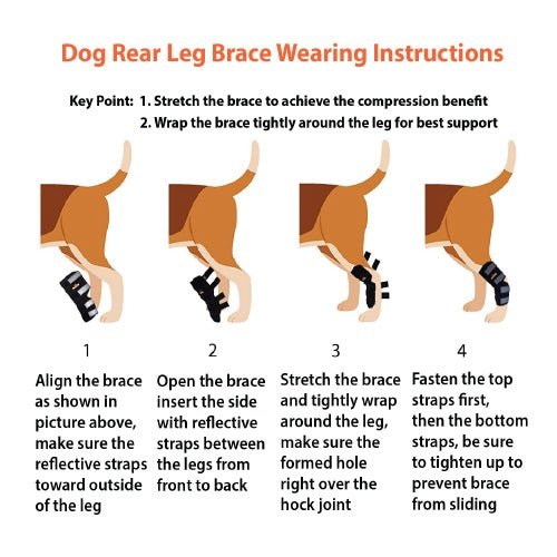 NeoAlly Dog Rear Leg Hock Brace with Safety Reflective Straps for Large Dogs [Long Version] Neoallypets