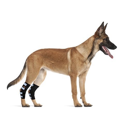 NeoAlly Dog Rear Leg Hock Brace with Safety Reflective Straps for Large Dogs [Long Version] Neoallypets