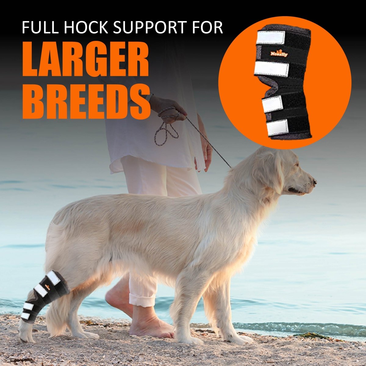 NeoAlly Dog Rear Leg Hock Brace with Safety Reflective Straps for Large Dogs [Long Version] Neoallypets