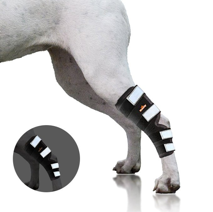 NeoAlly Dog Rear Leg Hock Brace with Safety Reflective Straps for Large Dogs [Long Version] Neoallypets