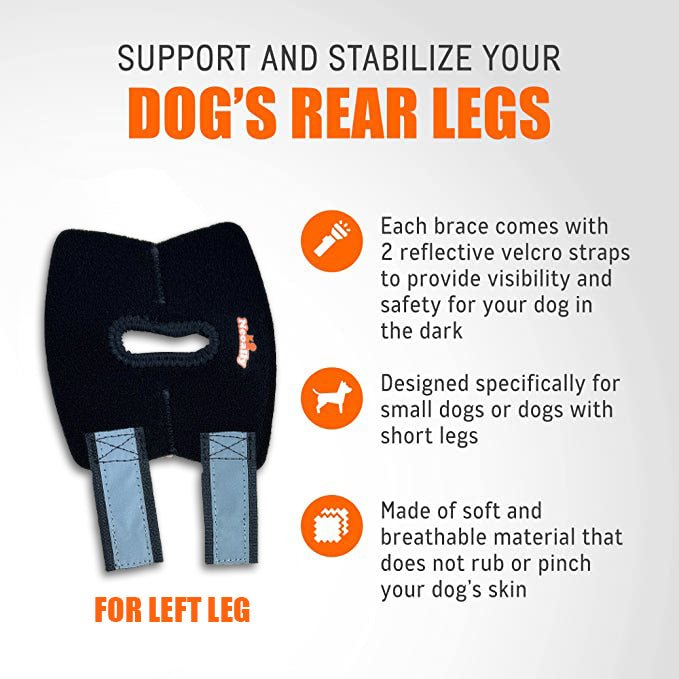 NeoAlly Dog Rear Leg Hock Brace with Safety Reflective Straps for Small Dogs [Short Version] Neoallypets
