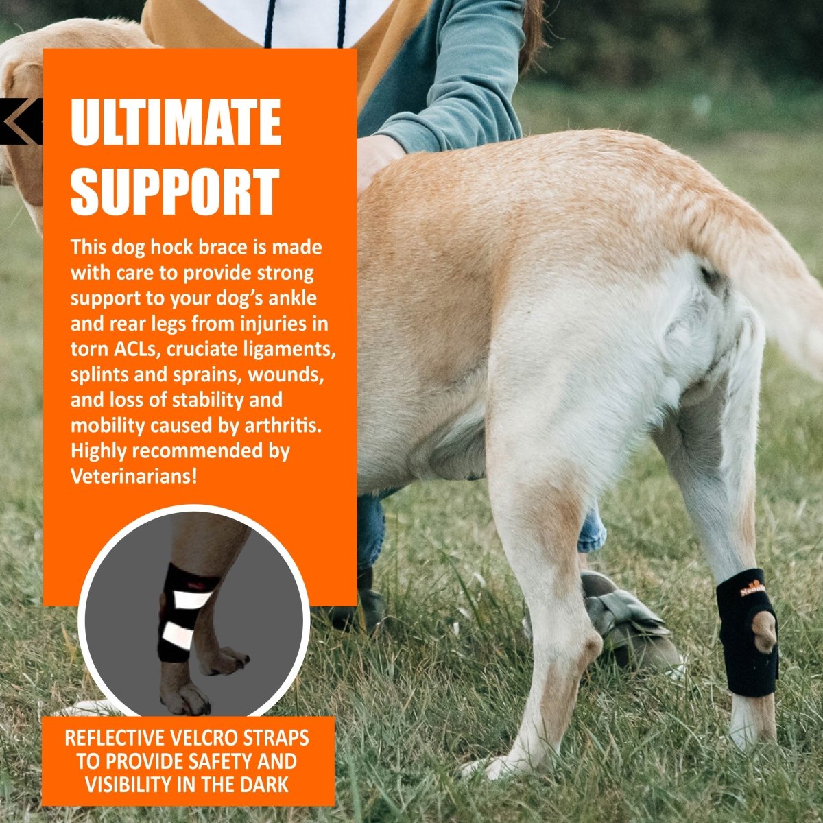 NeoAlly Dog Rear Leg Hock Brace with Safety Reflective Straps for Small Dogs [Short Version] Neoallypets