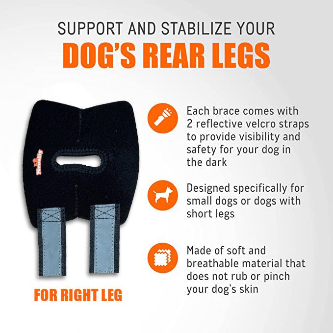 NeoAlly Dog Rear Leg Hock Brace with Safety Reflective Straps for Small Dogs [Short Version] Neoallypets