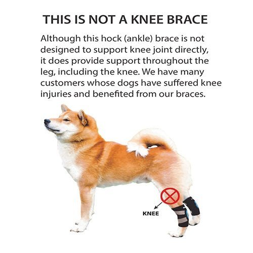 NeoAlly Dog Rear Leg Hock Brace with Safety Reflective Straps for Small Dogs [Short Version] Neoallypets