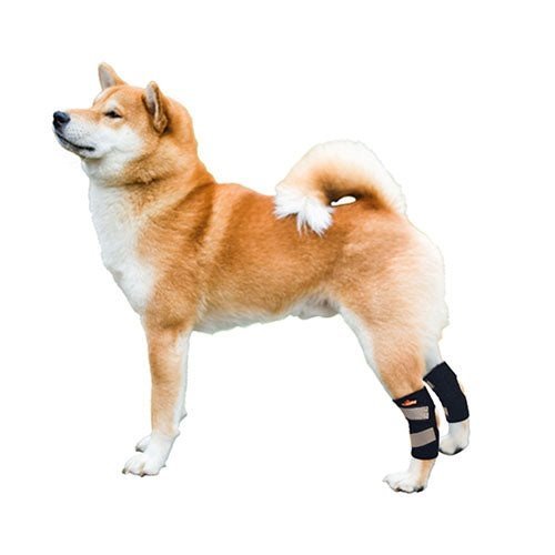 NeoAlly Dog Rear Leg Hock Brace with Safety Reflective Straps for Small Dogs [Short Version] Neoallypets