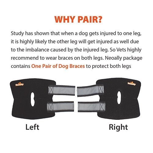 NeoAlly Dog Rear Leg Hock Brace with Safety Reflective Straps for Small Dogs [Short Version] Neoallypets