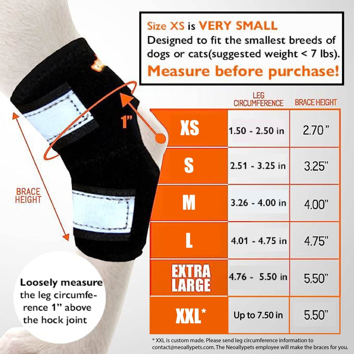 NeoAlly Dog Rear Leg Hock Brace with Safety Reflective Straps for Small Dogs [Short Version] Neoallypets