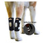 NeoAlly Dog Rear Leg Hock Brace with Safety Reflective Straps for Small Dogs [Short Version] Pair Neoallypets
