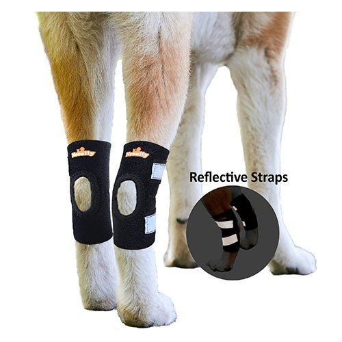 NeoAlly Dog Rear Leg Hock Brace with Safety Reflective Straps for Small Dogs [Short Version] Pair Neoallypets