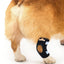 NeoAlly Dog Rear Leg Hock Brace with Safety Reflective Straps for Small Dogs [Short Version] Right Neoallypets