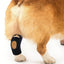 NeoAlly Dog Rear Leg Hock Brace with Safety Reflective Straps for Small Dogs [Short Version] Left Neoallypets