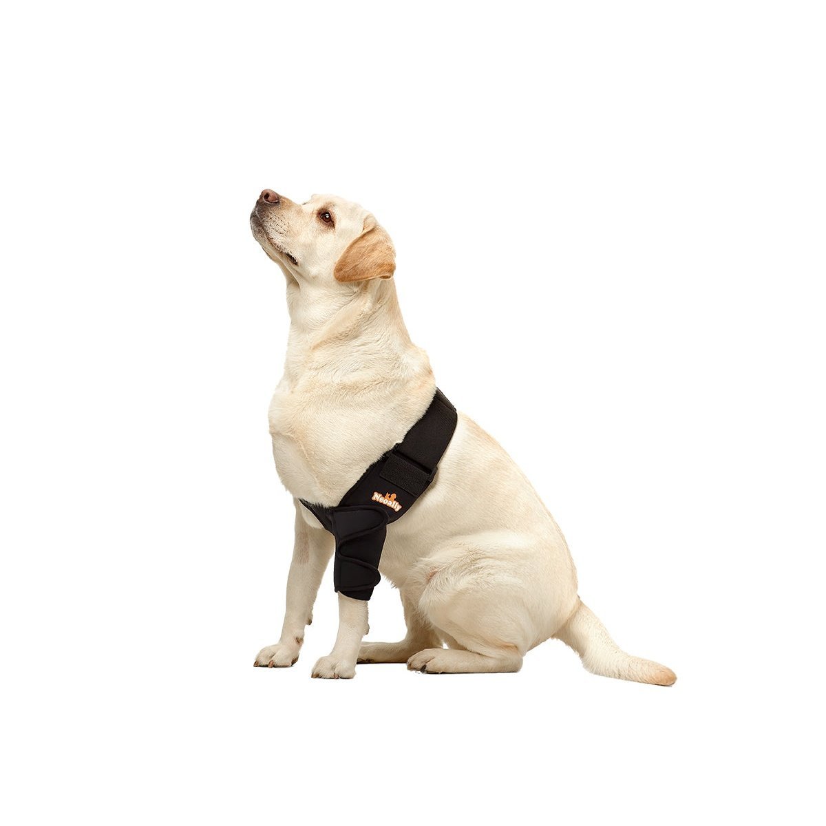 NeoAlly Elbow and Shoulder Brace for Dogs and Cats - Optimal Support for Pet Mobility Neoallypets