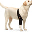 NeoAlly Elbow and Shoulder Brace for Dogs and Cats - Optimal Support for Pet Mobility Right Leg Neoallypets