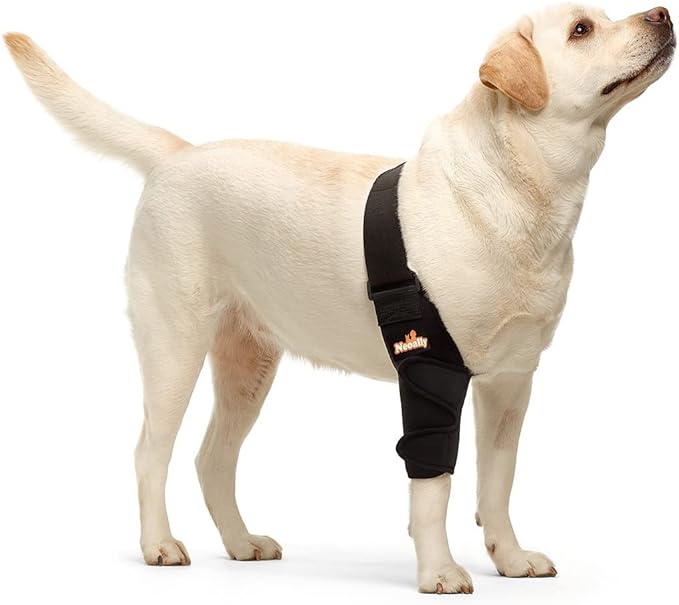 NeoAlly Elbow and Shoulder Brace for Dogs and Cats - Optimal Support for Pet Mobility Right Leg Neoallypets
