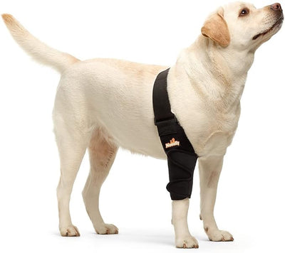 NeoAlly Elbow and Shoulder Brace for Dogs and Cats - Optimal Support for Pet Mobility Right Leg Neoallypets