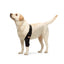 NeoAlly Elbow and Shoulder Brace for Dogs and Cats - Optimal Support for Pet Mobility Left Leg Neoallypets