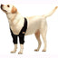 NeoAlly Elbow and Shoulder Brace for Dogs and Cats - Optimal Support for Pet Mobility Both Legs Neoallypets