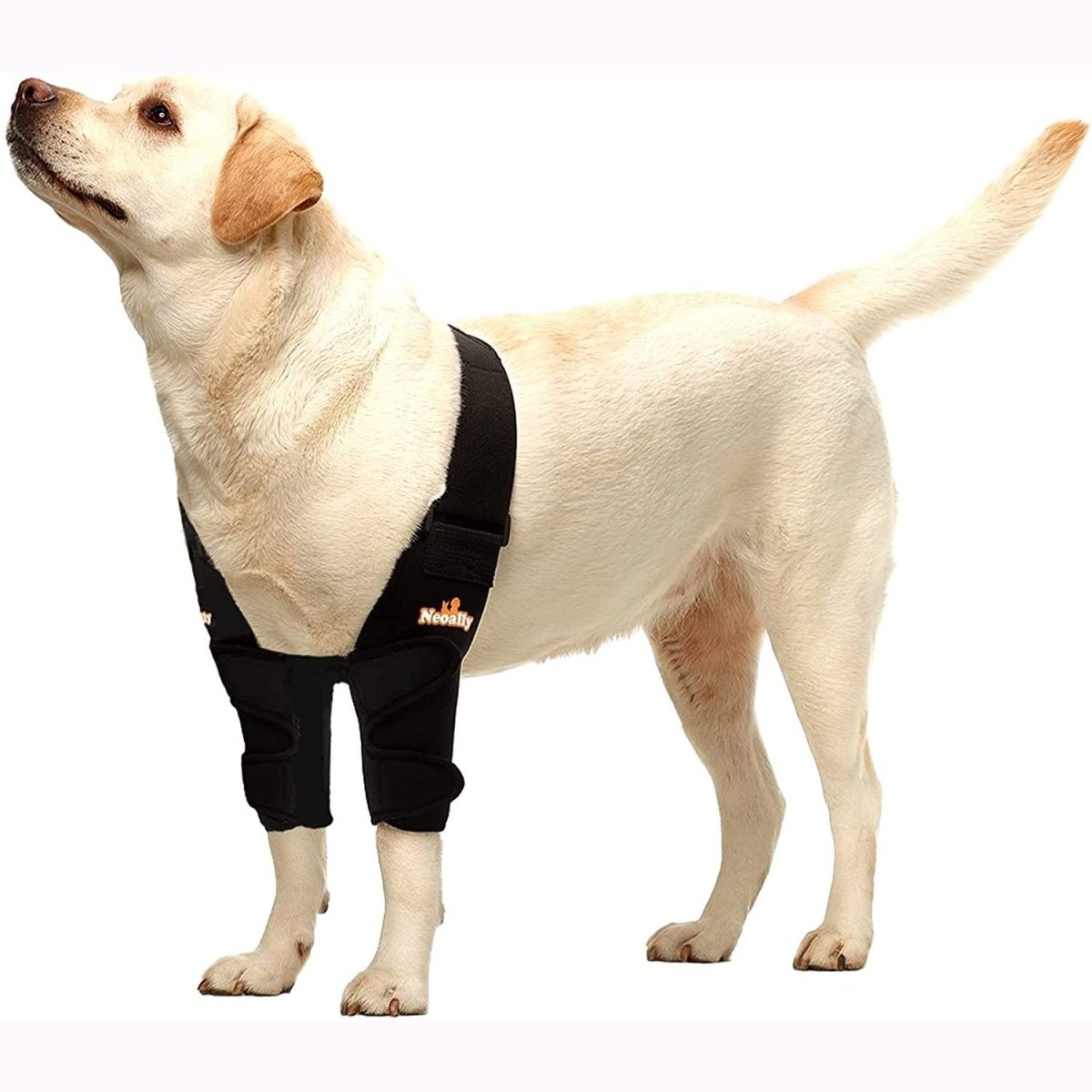 NeoAlly Elbow and Shoulder Brace for Dogs and Cats - Optimal Support for Pet Mobility Both Legs Neoallypets