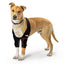 NeoAlly Elbow and Shoulder Brace with Spring Inserts for Dogs and Cats - Enhance Pet Mobility with Optimal Support Both Neoallypets