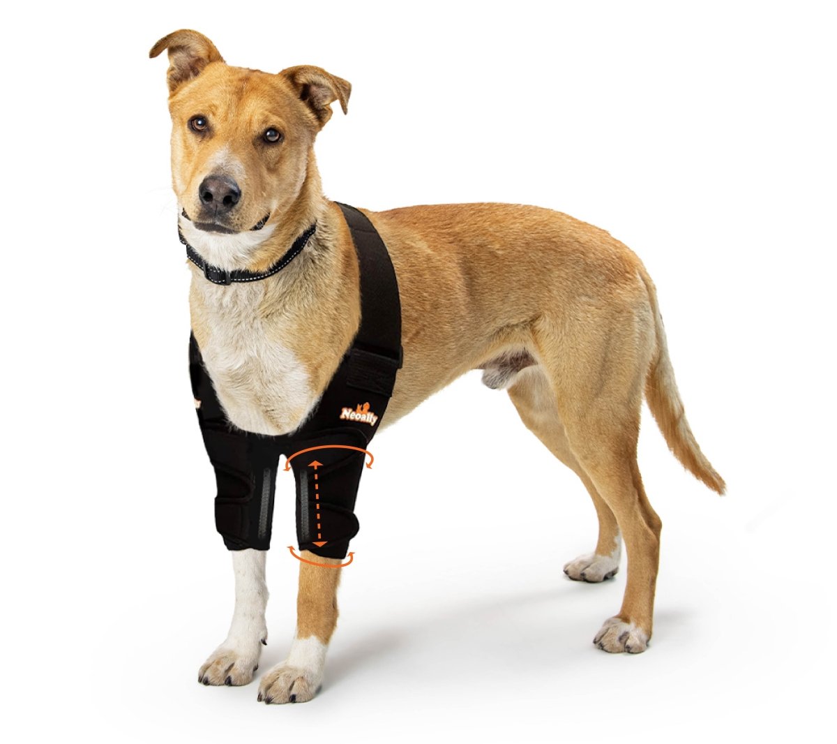 NeoAlly Elbow and Shoulder Brace with Spring Inserts for Dogs and Cats - Enhance Pet Mobility with Optimal Support Both Neoallypets