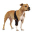 NeoAlly Elbow and Shoulder Brace with Spring Inserts for Dogs and Cats - Enhance Pet Mobility with Optimal Support Right Neoallypets