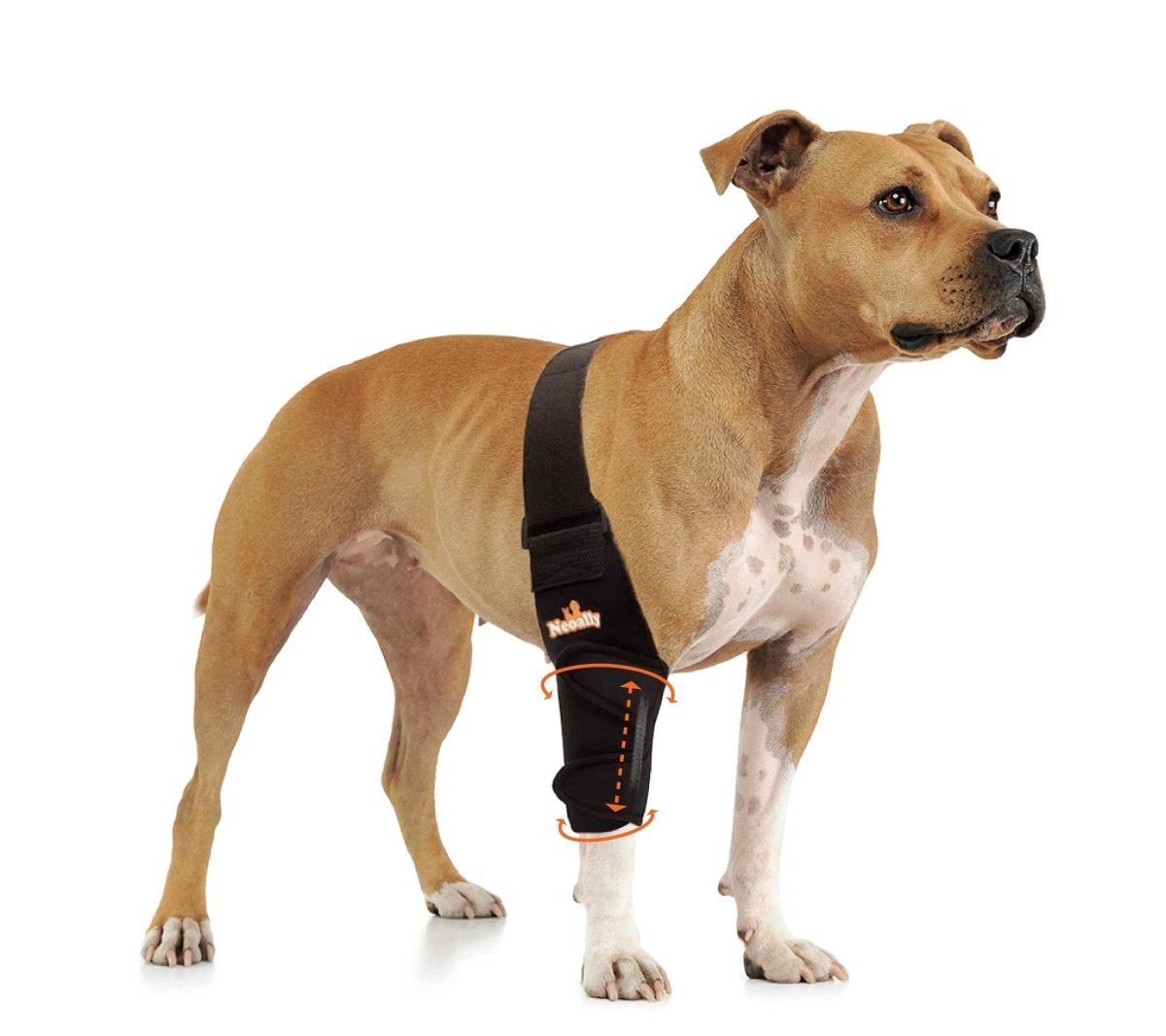 NeoAlly Elbow and Shoulder Brace with Spring Inserts for Dogs and Cats - Enhance Pet Mobility with Optimal Support Right Neoallypets