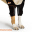 NeoAlly Elbow and Shoulder Brace with Spring Inserts for Dogs and Cats - Enhance Pet Mobility with Optimal Support Neoallypets