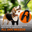 NeoAlly Elbow and Shoulder Brace with Spring Inserts for Dogs and Cats - Enhance Pet Mobility with Optimal Support Neoallypets