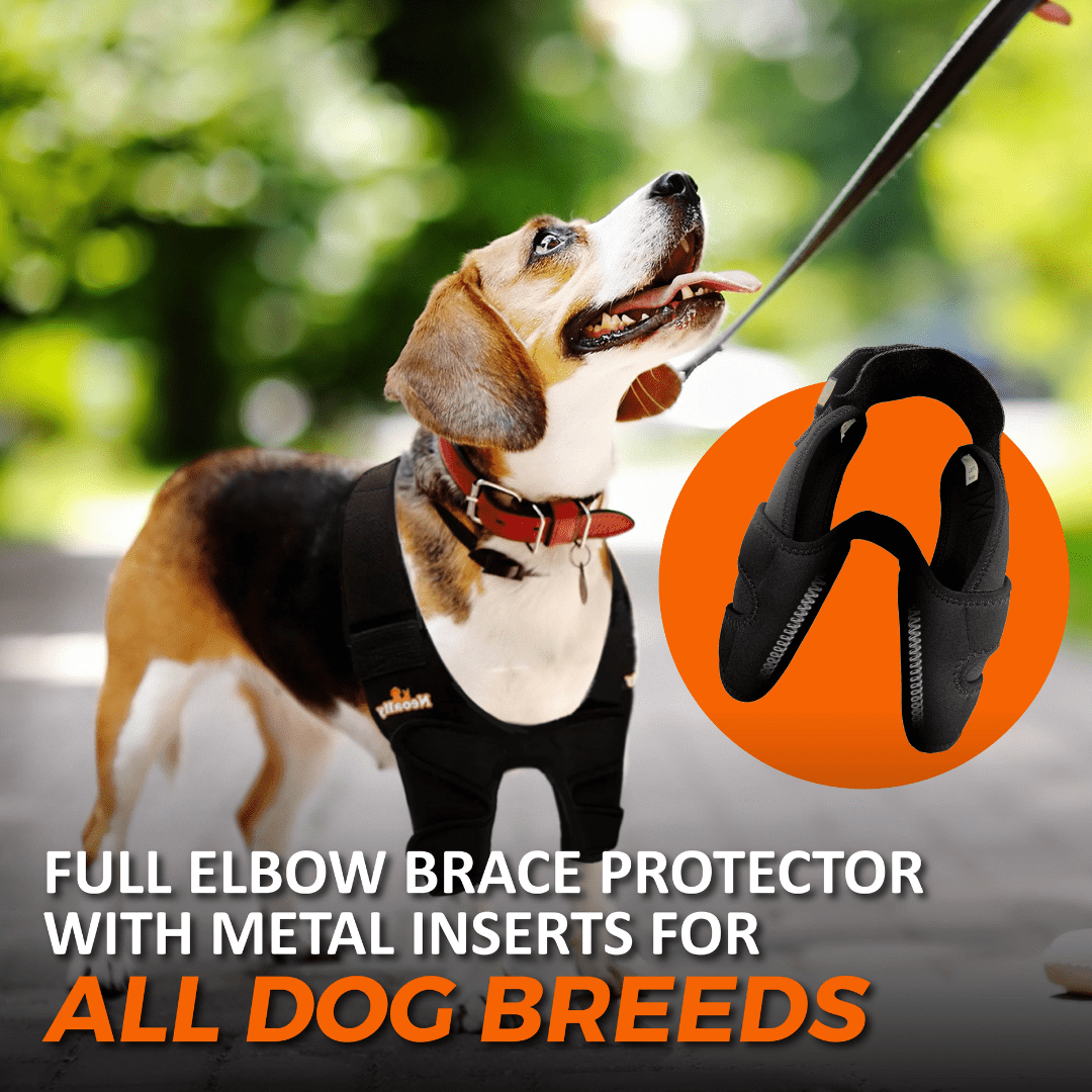 NeoAlly Elbow and Shoulder Brace with Spring Inserts for Dogs and Cats - Enhance Pet Mobility with Optimal Support Neoallypets