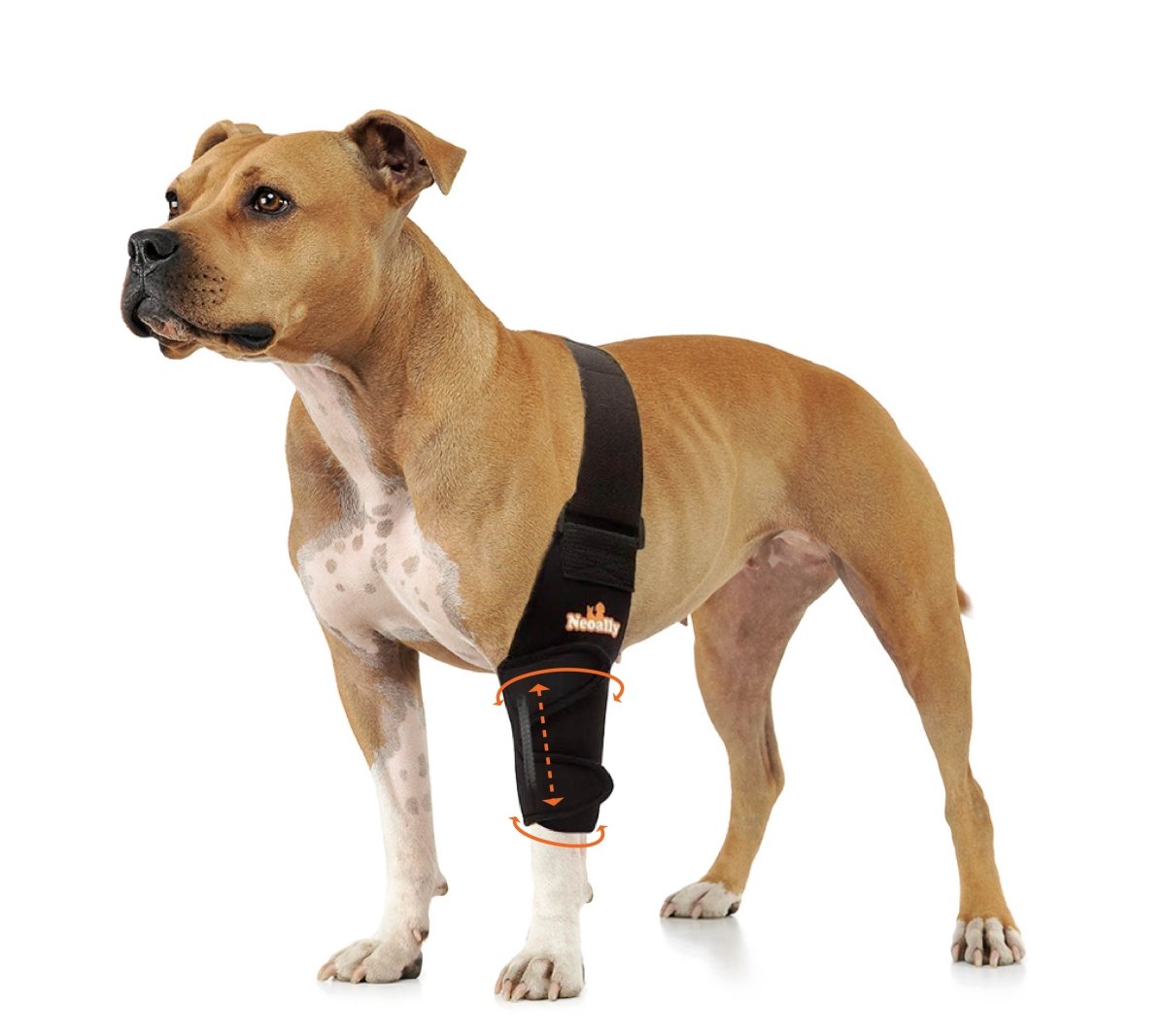 NeoAlly Elbow and Shoulder Brace with Spring Inserts for Dogs and Cats - Enhance Pet Mobility with Optimal Support Left Neoallypets