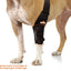 NeoAlly Elbow and Shoulder Brace with Spring Inserts for Dogs and Cats - Enhance Pet Mobility with Optimal Support Neoallypets
