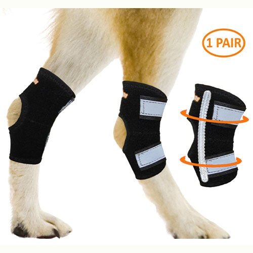 NeoAlly Rear Leg Hock Brace - Metal Spring Strips for Small Dogs [Short Version] (Pair) X Large Neoallypets