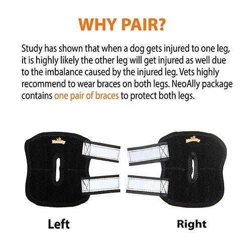 NeoAlly Rear Leg Hock Brace - Metal Spring Strips for Small Dogs [Short Version] (Pair) Neoallypets