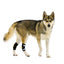 NeoAlly Rear Leg Hock Brace - Metal Spring Strips for Small Dogs [Short Version] (Pair) Neoallypets