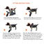 NeoAlly Upgraded Dog Surgical Recovery Vest for Dogs and Cats Neoallypets