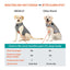 NeoAlly Upgraded Dog Surgical Recovery Vest for Dogs and Cats Neoallypets
