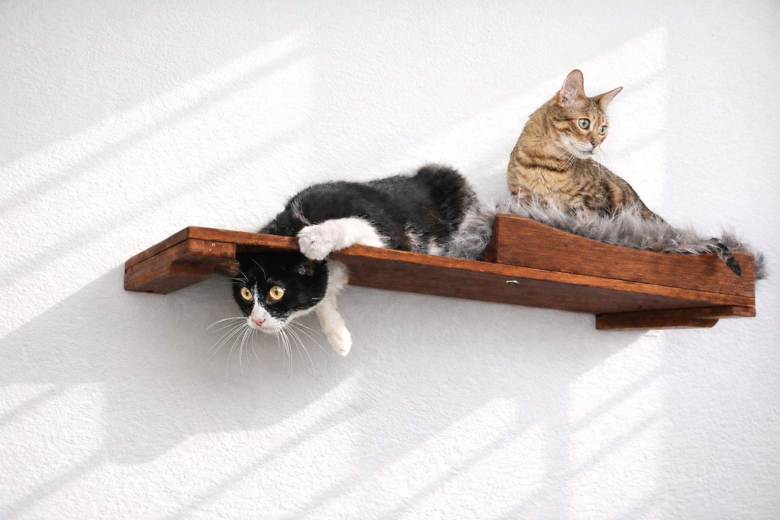 The Cat Nest Bed English Chestnut Bamboo Gray Plush 34" Escape Hatch Cat shelves/bed Catastrophic Creations