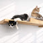 The Cat Nest Bed Natural Bamboo Gray Plush 34" Escape Hatch Cat shelves/bed Catastrophic Creations