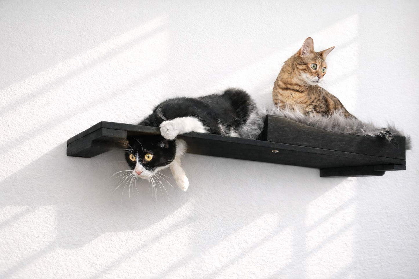 The Cat Nest Bed Onyx Bamboo Gray Plush 34" Escape Hatch Cat shelves/bed Catastrophic Creations
