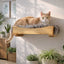 The Cat Nest Bed Cat shelves/bed Catastrophic Creations