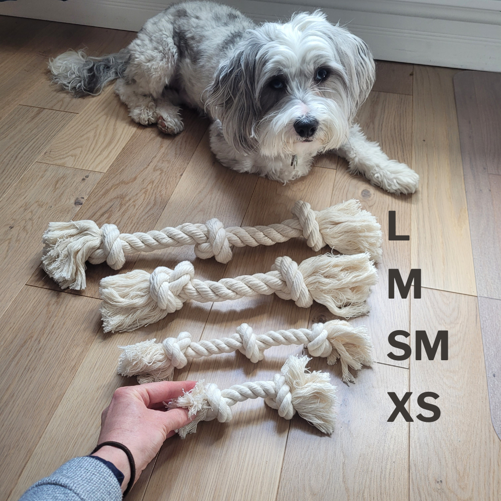 Boba & Vespa 100% Organic Cotton Rope Dog Toy - 5 Sizes Dog Ropes The Kind Pet