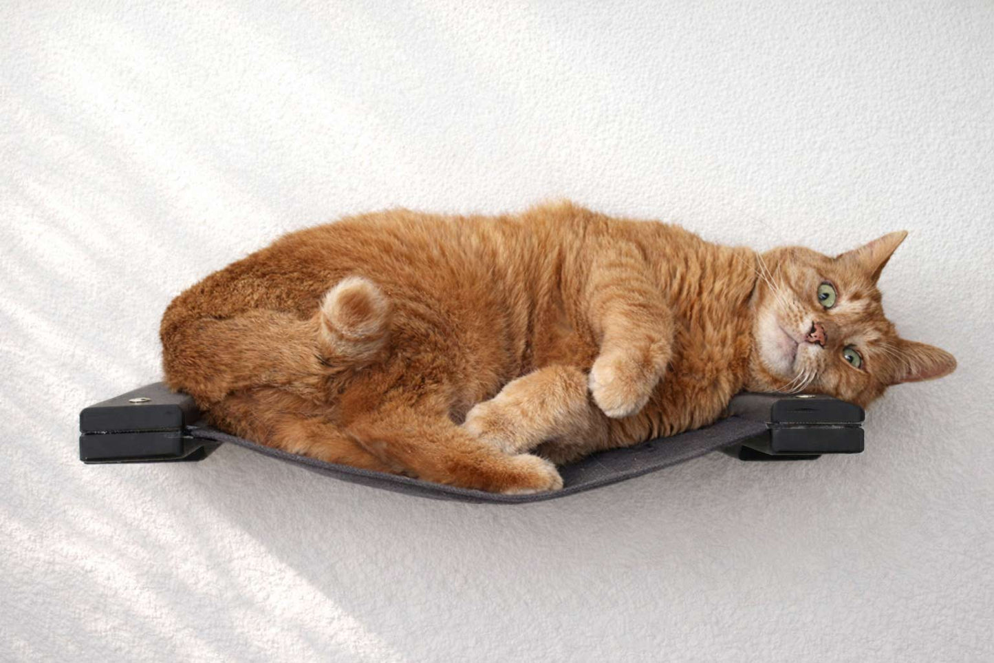 Hanging Cat Bed Hammock Onyx Bamboo Charcoal Gray Canvas 18" Cat Hammock Catastrophic Creations