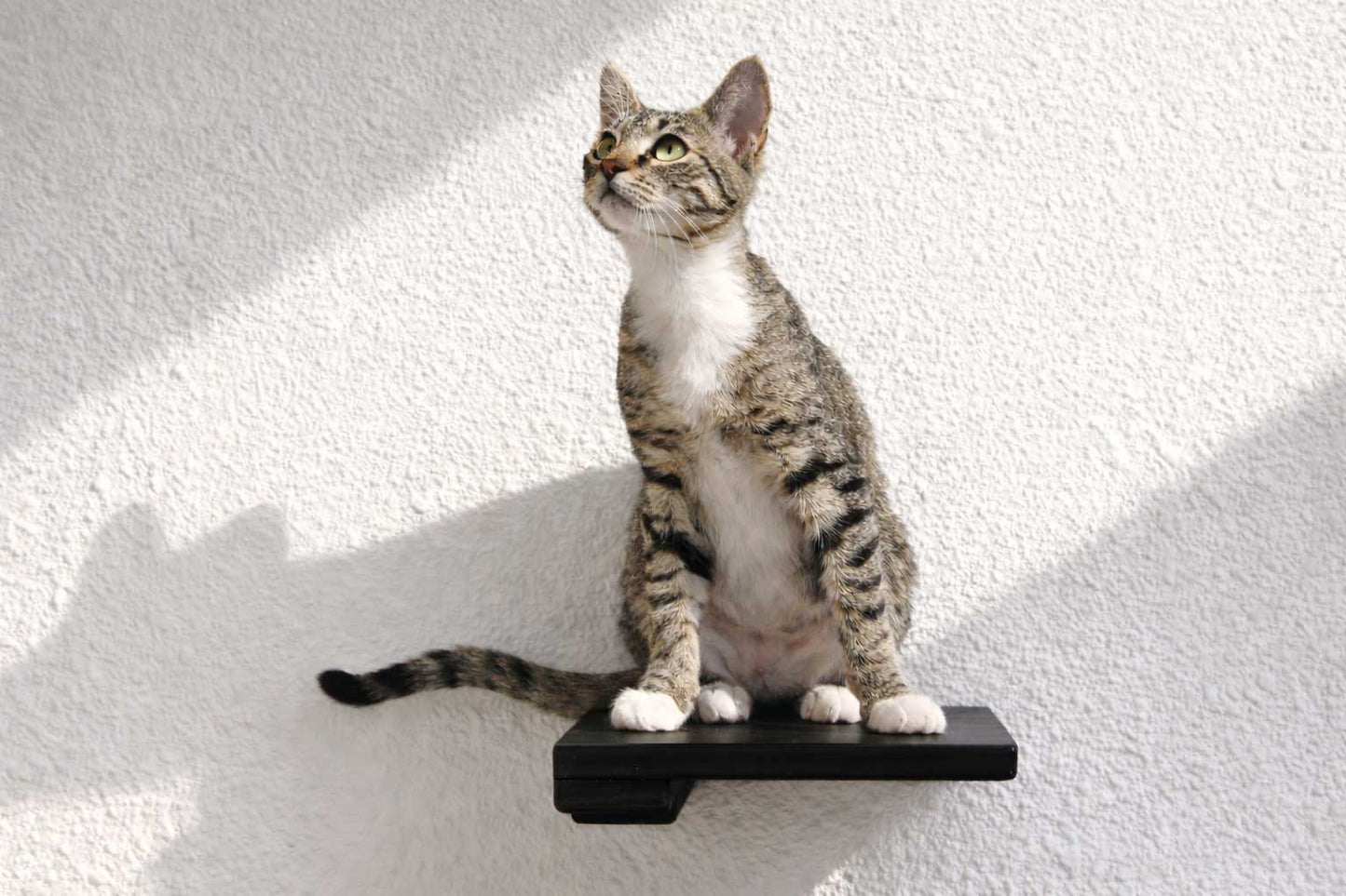 Cat Climbing Shelf Onyx Bamboo None Cat shelves/bed Catastrophic Creations