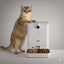 All-in-One Smart Pet Feeder PiFi