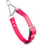 Biothane Adjustable Martingale Collar with Metal Buckle Passionfruit Pink Dog Collars Dogline